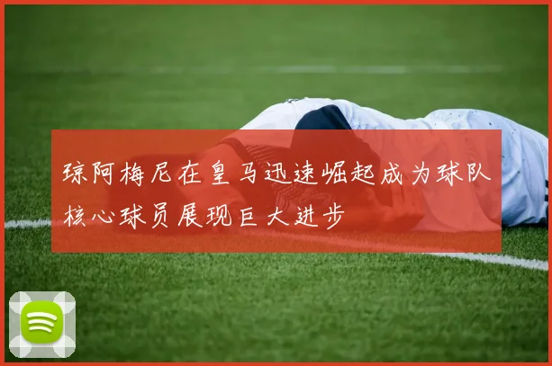 琼阿梅尼在皇马迅速崛起成为球队核心球员展现巨大进步